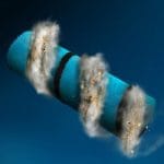Aspirapolveri verticali BLCD Cecotec Aspirapolvere verticale Conga Rockstar 1500 Ray Ergowet Animal - immagine 4