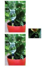 Irrigatore A Bottiglia Mod. Aquaflora Holiday Sistema Autonomo Di Irrigazione A Goccia Per Piante In Vaso - immagine 2