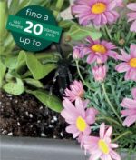 Kit Irrigazione Completo Terrace Con 20 Punti Goccia E Centralina Irritec - immagine 2