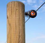 Isolatore Ad Anello Xdi Per Pali In Legno, Filo, Corda Gallagher Confezione 125 Pz. Per Recinzioni Elettriche - immagine 5