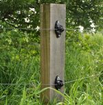 Isolatore A "W" Piccolo Nero Per Legno Confezione 25 Pz. Gallagher Per Recinzioni Elettriche - immagine 2