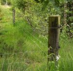 Isolatore A "W" Super Bianco Per Legno Confezione 175 Pz. Gallagher Per Recinzioni Elettriche - immagine 3