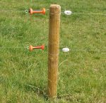 Isolatore Di Testa Rinforzato Bianco Confezione 5 Pz. Gallagher Per Recinzioni Elettriche - immagine 2