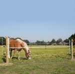 Cancello In Metallo Elettrificabile Regolabile Da 2,5 Fino A 4,5 M Gallagher Per Recinzioni Elettriche - immagine 4