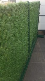 Siepe Finta Artificiale Rete Metallica Ricoperta Con Foglie Di Pino Sintetico - H 150 cm - Rotolo Lunghezza 10 M - immagine 3