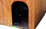 Cuccia Per Cane In Legno Massello - 80x115 cm - Italfrom 441 - immagine 3