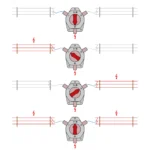 Interruttore-commutatore recinto elettrico - immagine 7