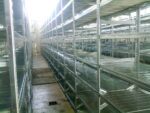 MODULO INIZIALE - scaffalatura da magazzino zincata H 250 cm , L 120 cm ,  PROF. 50 cm , con 5 ripiani , PORTATA OGNUNO 205 Kg - immagine 4