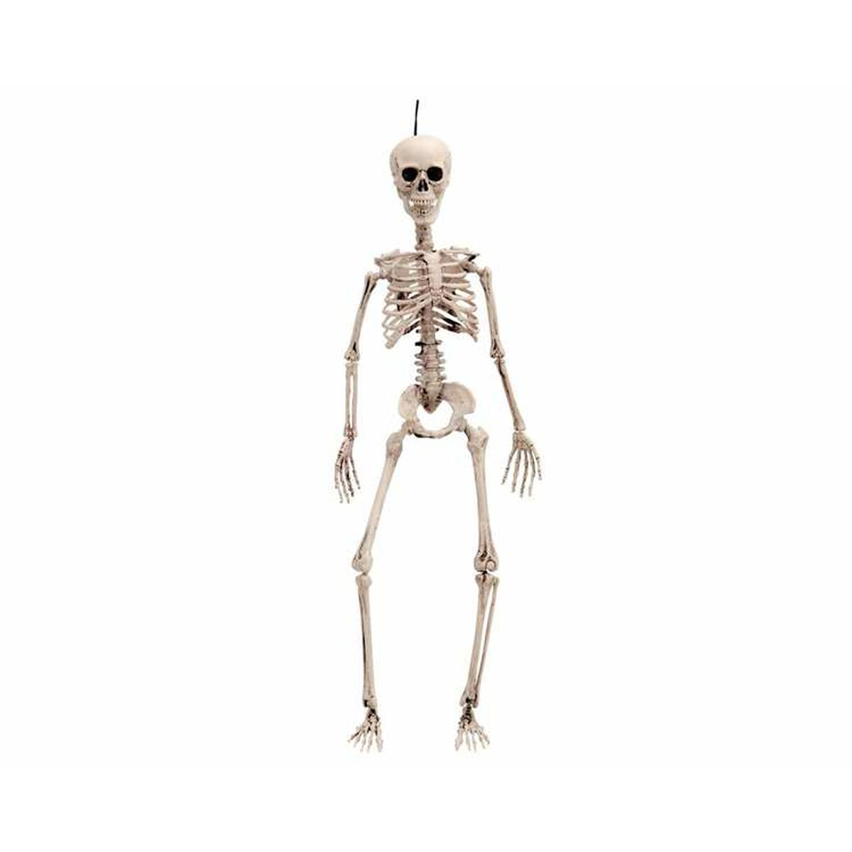 8435408244572_S2449489_P00.jpg Decorazione per Halloween My Other Me 120 cm Scheletro - immagine 1