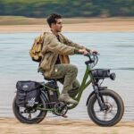 Fiido T1 Pro Cargo Bici Elettrica Fat Bike Utility - immagine 3