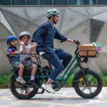 Fiido T2 Longtail Cargo Bici Elettrica Fat Bike - immagine 3