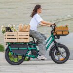 Fiido T2 Longtail Cargo Bici Elettrica Fat Bike - immagine 4