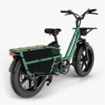 Fiido T2 Longtail Cargo Bici Elettrica Fat Bike - immagine 11