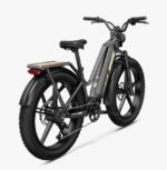 Fiido Titan Bici Elettrica Cross Da Trasporto Robusta - immagine 7