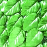 Confine SIEPE ARTIFICIALE LAURO mt. 1x20