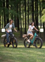 ENGWE E26 ST E-bike a doppia sospensione per tutti i terreni, 250 W, 140 km - immagine 2