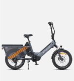 ENGWE LE20 (Versione UE) Bici elettrica da carico con motore centrale da 250 W e autonomia di 350 km DOPPIA BATTERIA