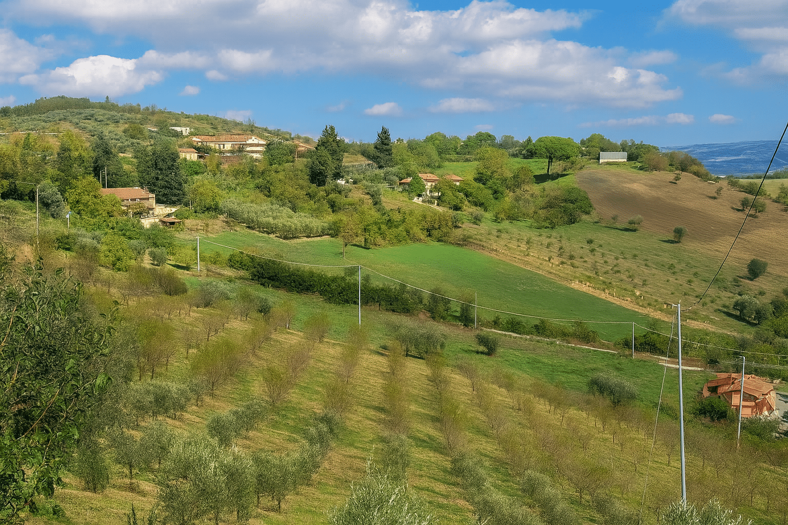 Pepe bio azienda Agricola Salvatore Pepe
