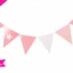 FESTONE 20 BANDIERINE PARTY ROSA 350 CM