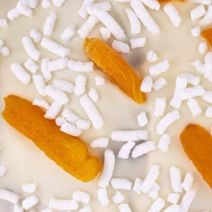 panettone artigianale albicocca bianco satollo copertura