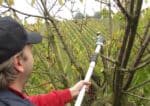 Forbice Pneumatica Super SLY - immagine 3