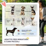 Passeggino per Cani Piccoli Pieghevole, Carrozzina per Cani con Ruote con Freni, Portabicchieri, Cestino Portaoggetti e Imbottitura Rimovibile e Lavabile, per Animali Domestici 10 kg, Blu - immagine 4