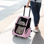 Trasportino Zaino 2 in 1 per Cani e Gatti con Tasche Laterali, Maniglia Telescopica e Ruote, 42x25x55cm, Rosa - immagine 2