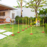 Set Agility Dog 3 Esercizi: Slalom, Ostacoli, Anello, per Addestramento Cani, Portatile, 2,5 kg, Giallo e Rosso - immagine 2