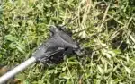 Abbacchiatore Elettrico Albatros - immagine 3