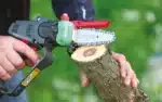 Potatore Elettronico a Batteria ZP 100 - immagine 8