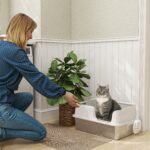 Lettiera per Gatti con Bordi Rialzati, Vassoio e Paletta, in Acciaio Inox e PP, 60x40x28 cm, Grigio Chiaro - immagine 2