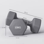 Set 2 Manubri Esagonali da 2x10 kg in Metallo e Plastica con Impugnatura Antiscivolo, 26x12x12 cm, Grigio - immagine 3