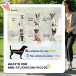 Passeggino per Cani Piccoli Pieghevole con Copertura Antipioggia, Ruote Girevoli e con Freni, Grigio - immagine 4