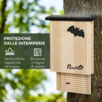 Set di 3 Casette per Pipistrelli in Legno di Abete per Esterni, 25x6x37,5 cm, Legno Naturale - immagine 5