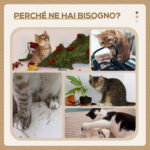 Tiragraffi per Gatti da 5kg max con Lettino e Pallina da Gioco, in Truciolato, Peluche e Corda di Juta, 41x41x44 cm - immagine 6
