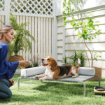 Lettino per Cani Rialzato di 20 cm con Cuscino a L, in Poliestere e Acciaio, 110x75x30 cm, Grigio e Argento - immagine 2