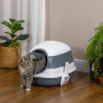Lettiera per Gatti con Paletta e Deodorante, Design Pieghevole con Maniglia, 52x41x38 cm - immagine 2