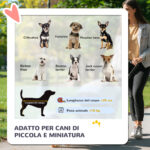 Passeggino per Cani 2 in 1 Pieghevole e Convertibile in Trasportino con 2 Guinzagli e Cuscino, Rosa - immagine 4