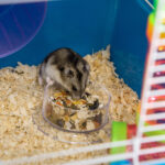 Gabbia Criceti a 5 Livelli con Tubi, Casetta, Serbatoio e Ruota, in Acciaio, PP e PS, 59x36x69 cm, Blu e Bianca - immagine 9