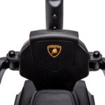 Lamborghini Macchinina per Bambini 2 in 1 con Maniglione e Barriera di Sicurezza, Volante e Clacson, Auto per Bambini in PP e Metallo, 86,5x40x89,5 cm, Verde e Nero - immagine 9