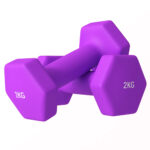 Set 2 Manubri 2x2 kg Esagonali e Antiscivolo per Casa e Palestra, in Metallo e Plastica, 16x7,5x7,5 cm, Viola