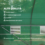 Serra da Giardino a Tunnel 8x3x2m in PE e Acciaio con Porta Avvolgibile e Finestre, Verde - immagine 4