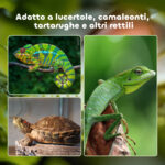 Terrario per Tartarughe di Terra e Rettili con Termometro 18-34℃, 60x40x40,5 cm, Nero - immagine 7