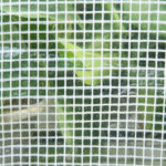 Serra a Tunnel con 4 Finestrelle e Ingresso a Zip in Acciaio Zincato e PE, 3x2x1,9 m, Bianco - immagine 9