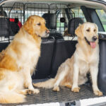 Griglia Divisoria Auto per Cani Universale con Larghezza Regolabile e Pieghevole, 93-150x42cm, Nero - immagine 2
