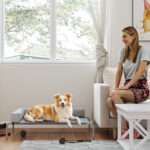 Lettino per Cani Rialzato di 20 cm con Cuscino a L, in Poliestere e Acciaio, 110x75x30 cm, Grigio e Argento - immagine 7