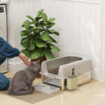 Lettiera per Gatti con Gradino, Paletta e Box Portaoggetti, in Acciaio Inox e ABS, 60,2x40,6x29 cm, Grigio Chiaro - immagine 2