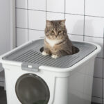 Lettiera per Gatti Chiusa a 2 Ingressi con Vassoio e Paletta, in Plastica PE, 44x55x39 cm, Bianco - immagine 8